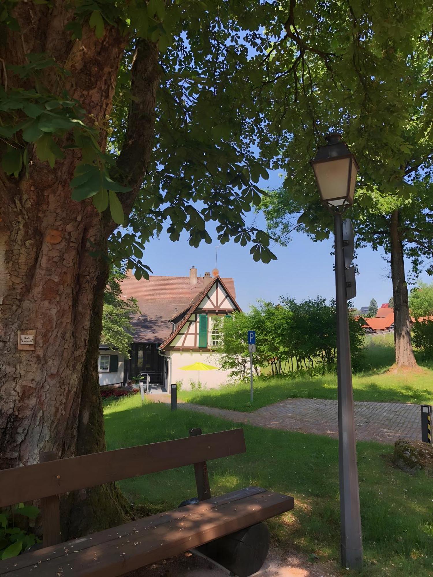 Ferienwohnung Am Keschtebaum, 70Qm Sasbachwalden Ngoại thất bức ảnh