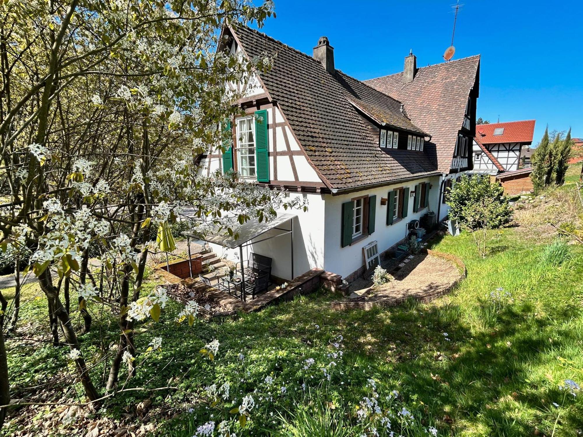 Ferienwohnung Am Keschtebaum, 70Qm Sasbachwalden Ngoại thất bức ảnh
